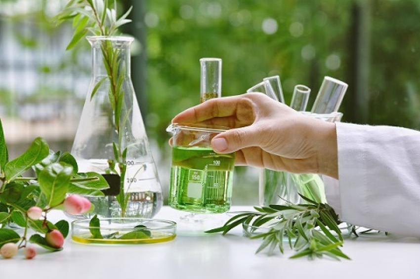 Forest Industry<br> Chemicals